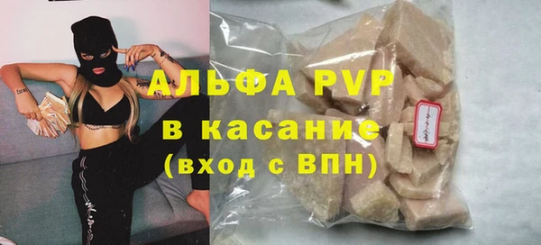 гашик Алексин