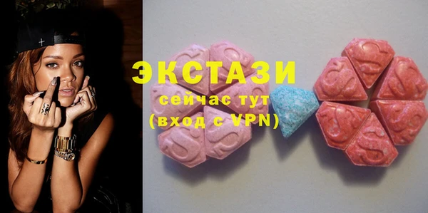 гашик Алексин
