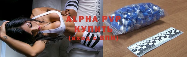 гашик Алексин