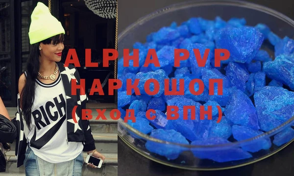 гашик Алексин