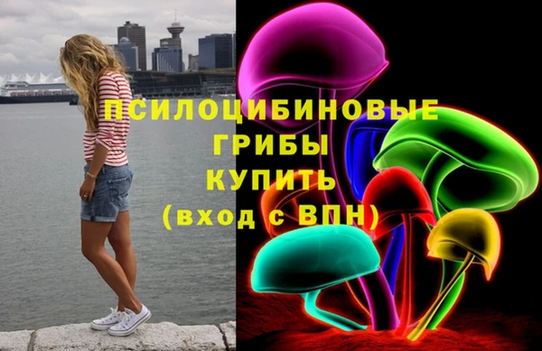 гашик Алексин