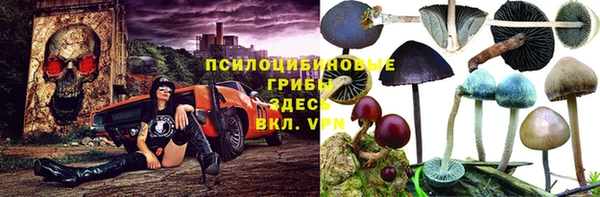 гашик Алексин