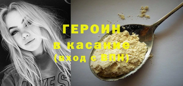гашик Алексин
