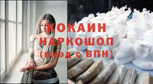 гашик Алексин