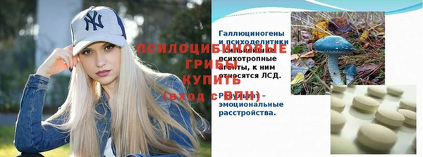 мяу мяу мука Алексеевка