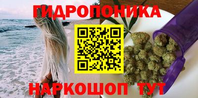 крисы Сертолово