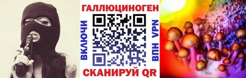 где продают   Ачинск  гидра рабочий сайт  Галлюциногенные грибы MAGIC MUSHROOMS 