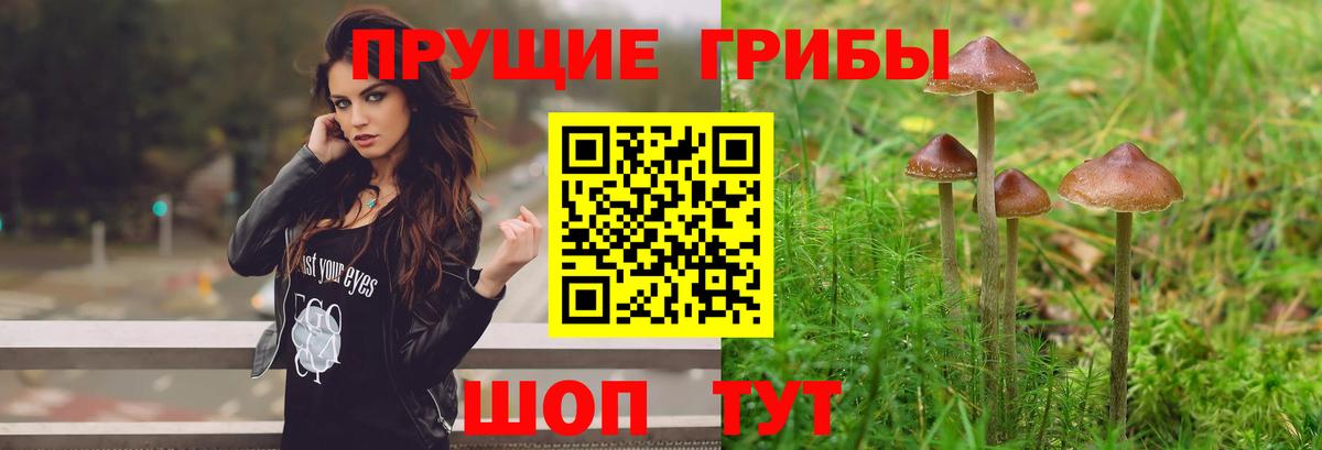 Ачинск  цена наркотик  Вход с VPN  Галлюциногенные грибы мухоморы 